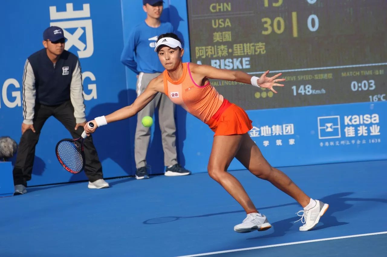 球场文化的 球场文化的