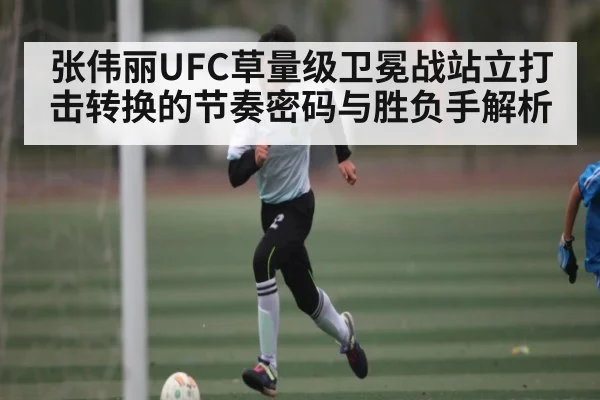 张伟丽UFC草量级卫冕战站立打击转换的节奏密码与胜负手解析